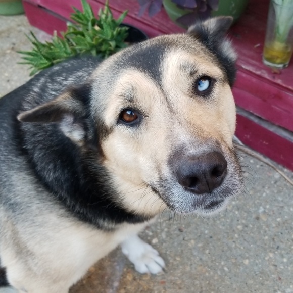 Meet your Posher, Tracy - Picture 1 of 1